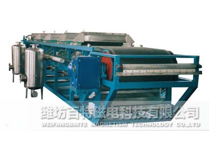 WG真空帶式干排過濾機